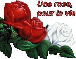 une rose pour toi